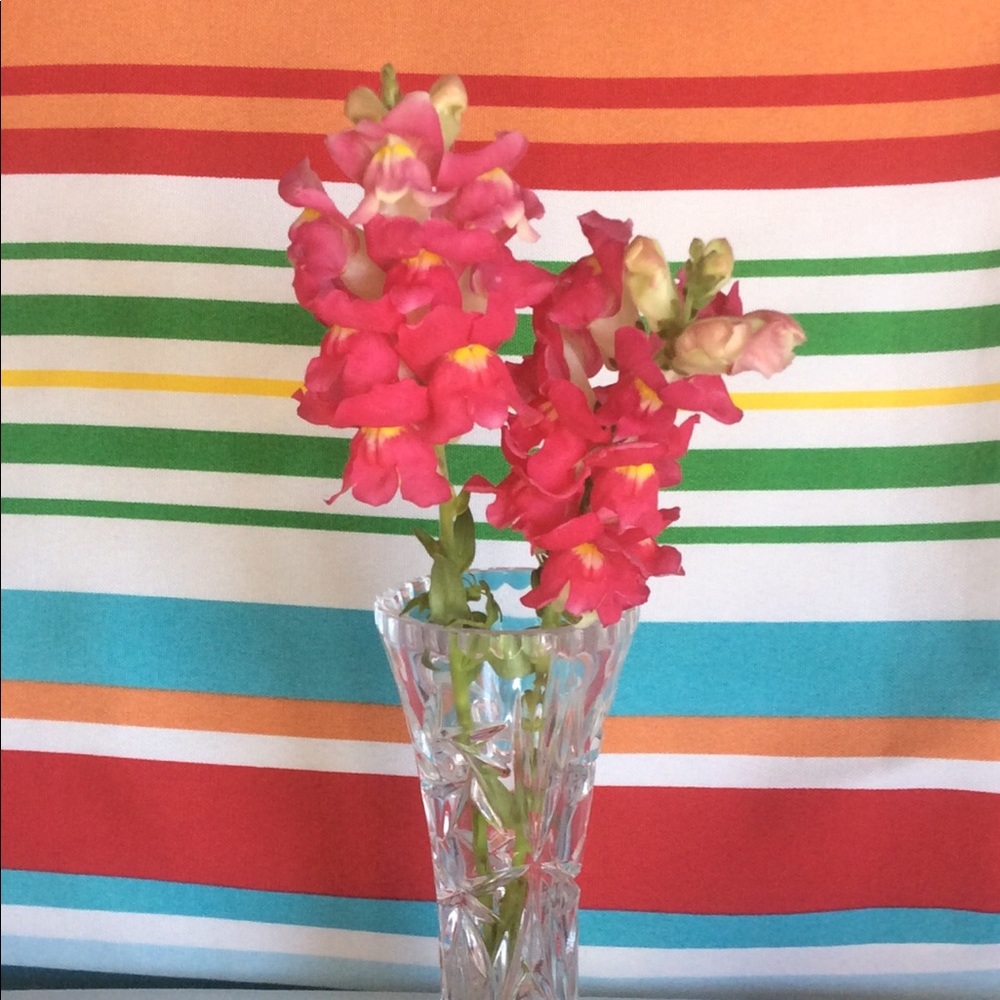 Lenox Crystal Star Vase with certificate EUC